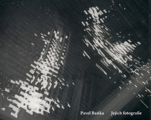 Jejich fotografie :[Galerie 1. patro, Praha, 26.4.-8.6.2013]