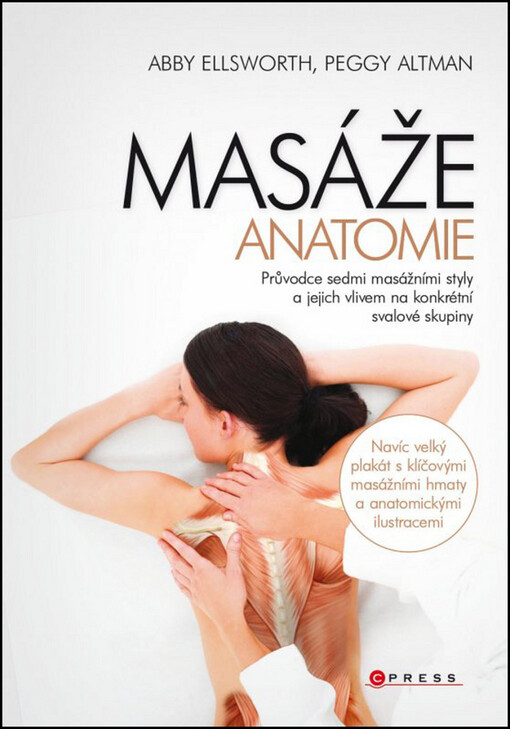 Masáže - anatomie