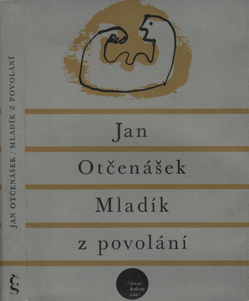 Mladík z povolání: Poznámky k jisté situaci