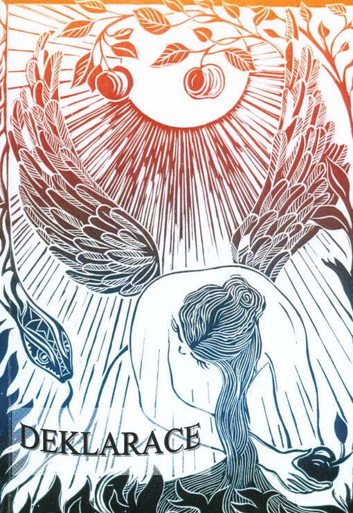 Deklarace :[sborník příspěvků z kolokvia 14.11.2013