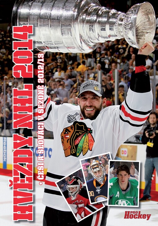 Hvězdy NHL ... + Češi a Slováci v sezoně ...