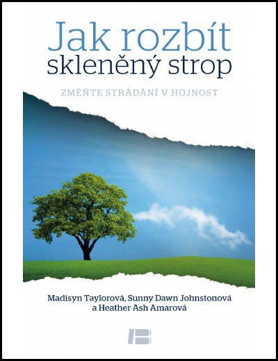 Jak rozbít skleněný strop :změňte strádání v hojnost : třicet inspirujících příběhů ze života