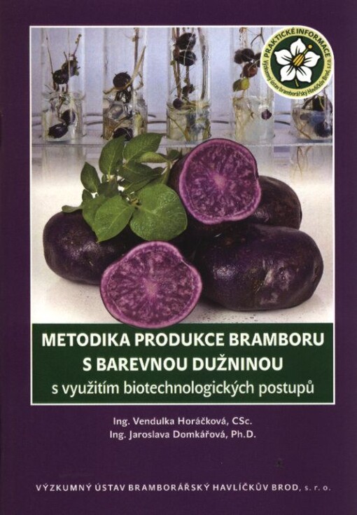 Metodika produkce bramboru s barevnou dužninou s využitím biotechnologických postupů