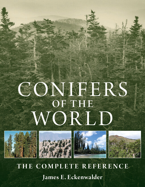 Conifers of the world : the complete reference