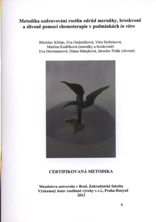Metodika ozdravování rostlin odrůd meruňky, broskvoně a slivoně pomocí chemoterapie v podmínkách in vitro
