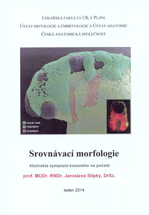 Srovnávací morfologie
