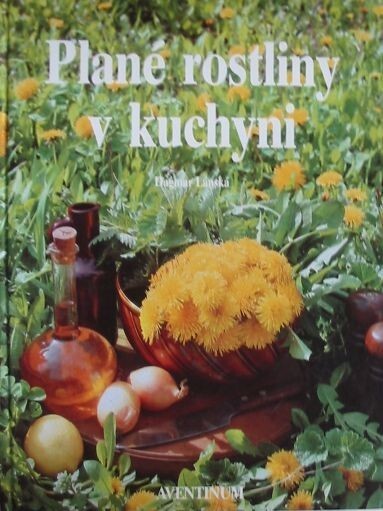 Plané rostliny v kuchyni