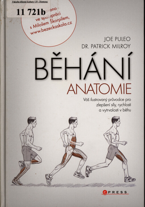 Běhání - anatomie