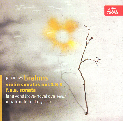 Violin sonatas nos 1 & 3