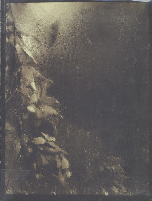 Růže pro Josefa Sudka 1896-1976: [výstava ke stému výročí narození a dvacátému výročí úmrtí umělce uspořádaly Správa Pražského
       hradu a Uměleckoprůmyslové muzeum v Praze v Letohrádku Královny Anny Pražského hradu 19.3.-9.6.1996]