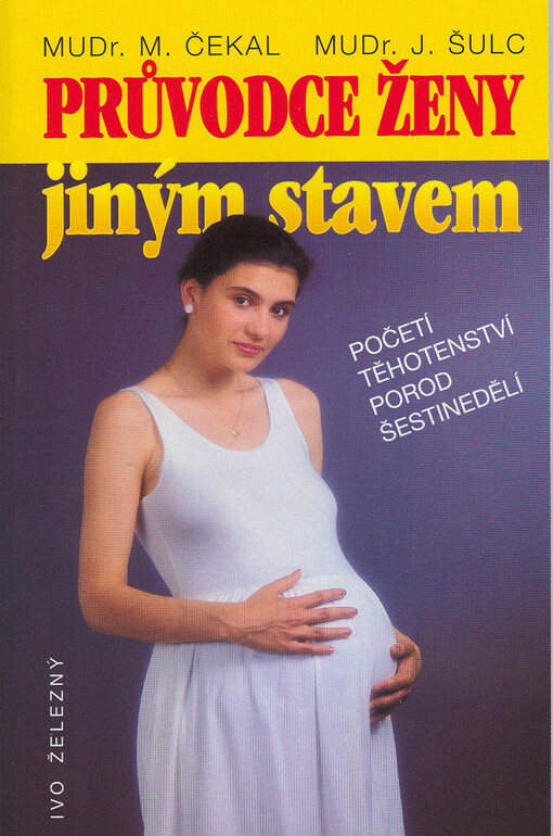 Průvodce ženy jiným stavem: početí, porod, šestinedělí