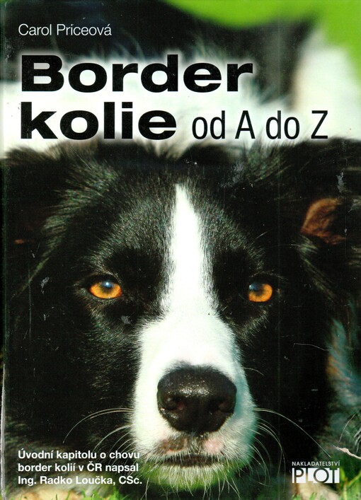 Border kolie od A do Z