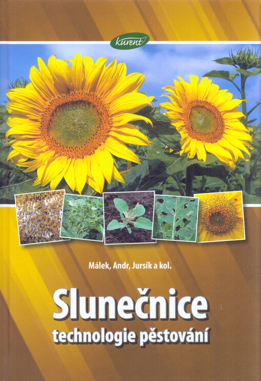 Slunečnice :technologie pěstování