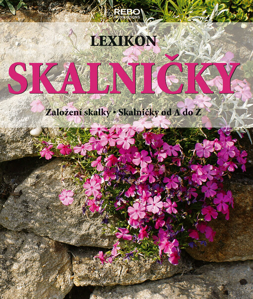 Skalničky: lexikon : založení skalky : skalničky od A do Z
