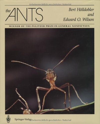 The ants