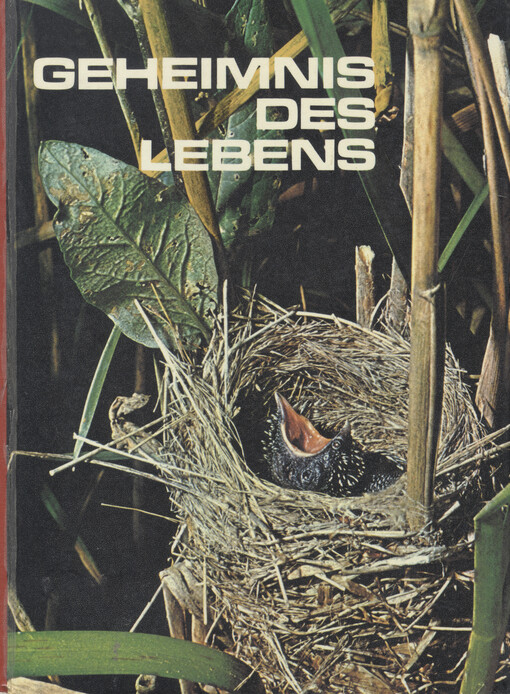Geheimnis des Lebens    