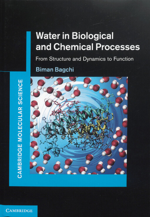 Water in biological and chemical processes :from structure and dynamics to function