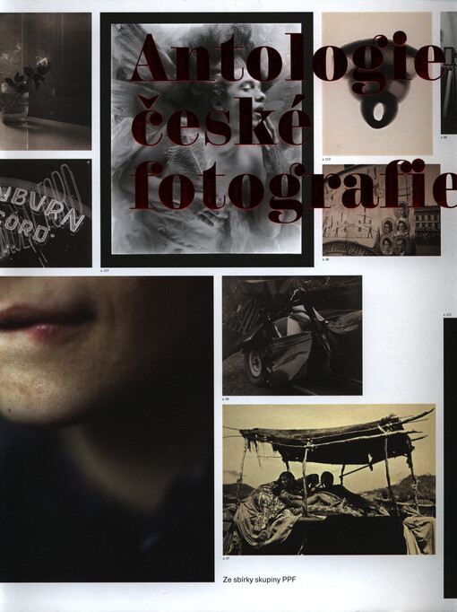 Antologie české fotografie :ze sbírky skupiny PPF