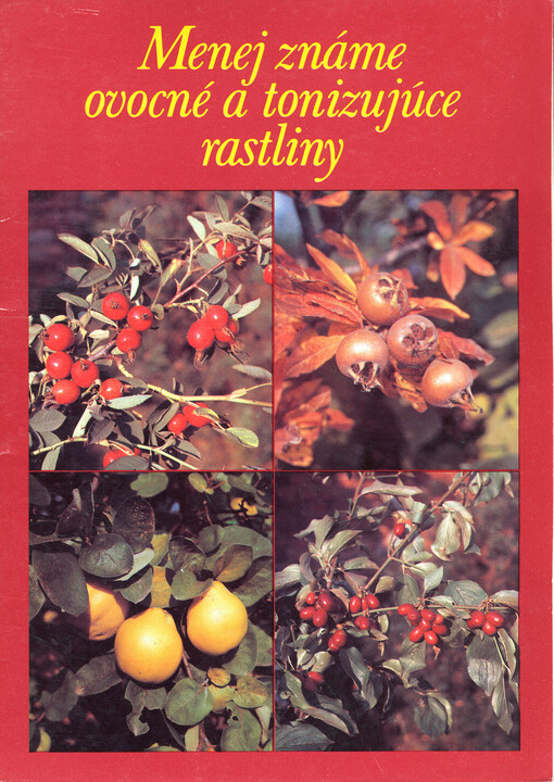 Menej známe ovocné a tonizujúce rastliny