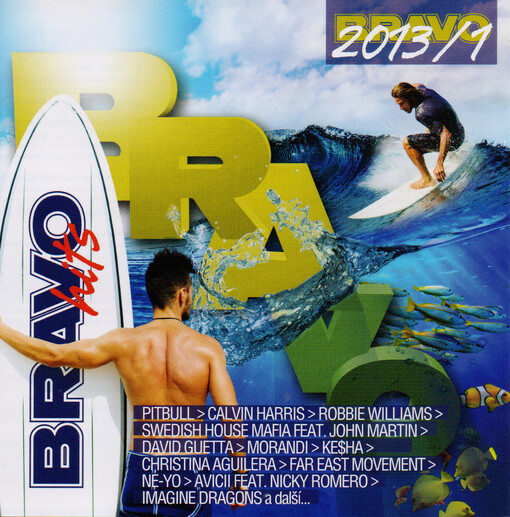 Bravo hits.2013/1