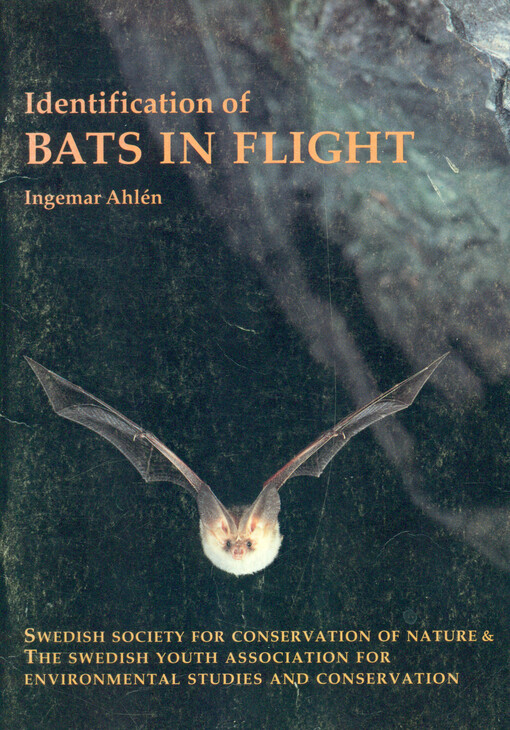 Identification of bats in flight    