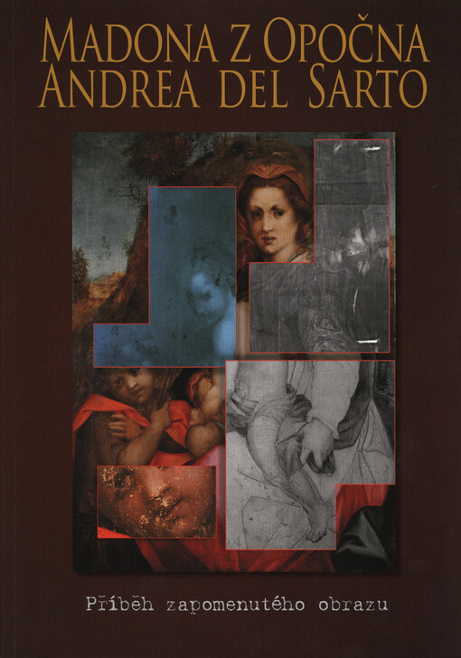 Madona z Opočna, Andrea del Sarto :příběh zapomenutého obrazu