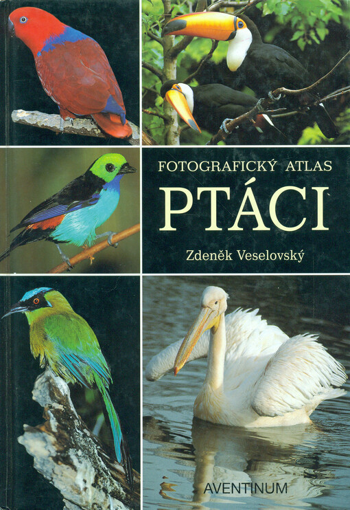Ptáci
