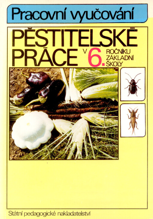 Pěstitelské práce v 6. ročníku základní školy.