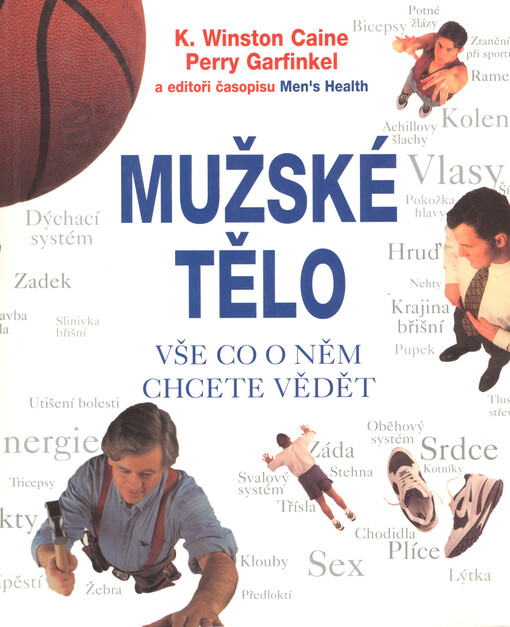 Mužské tělo: vše, co o něm chcete vědět