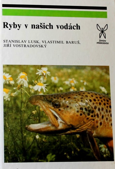 Ryby v našich vodách