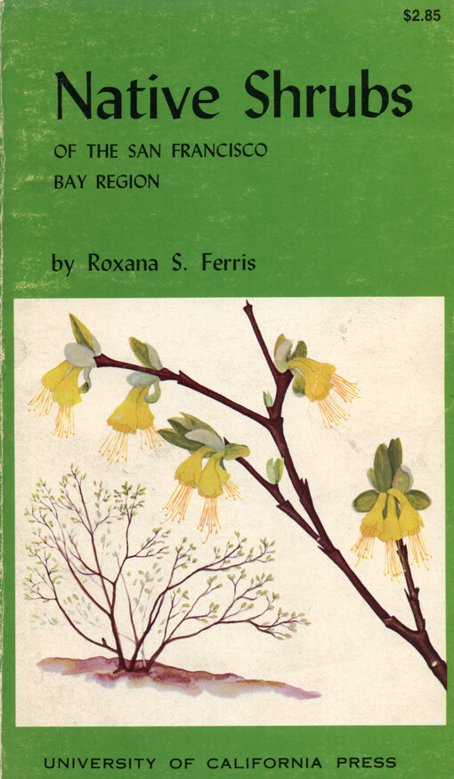Native shrubs of the San Francisco bay region