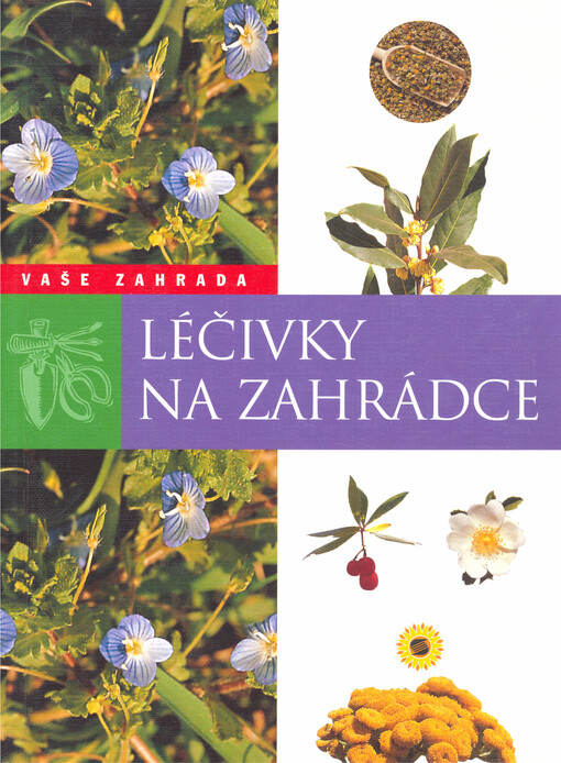 Léčivky na zahrádce