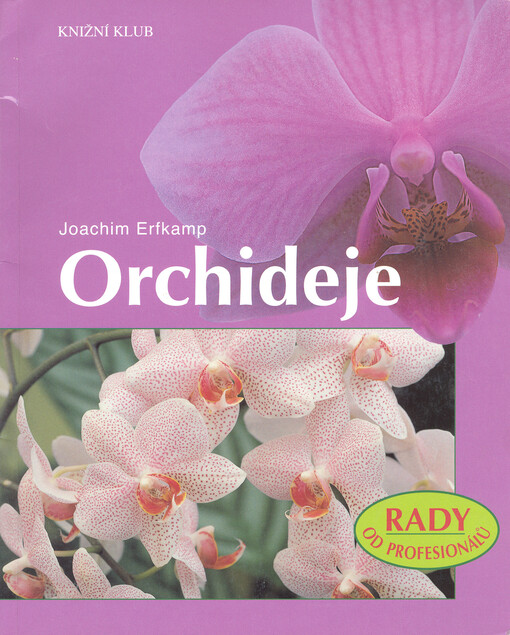 Orchideje