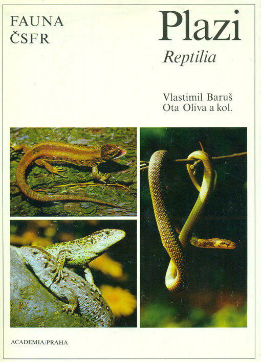 Plazi =: Reptilia