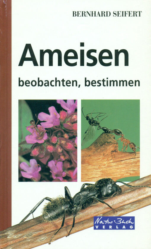 Ameisen : beobachten, bestimmen   