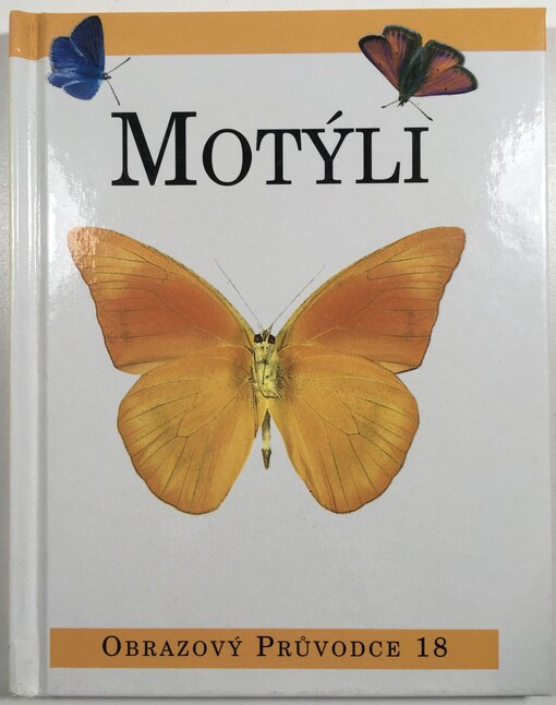 Motýli