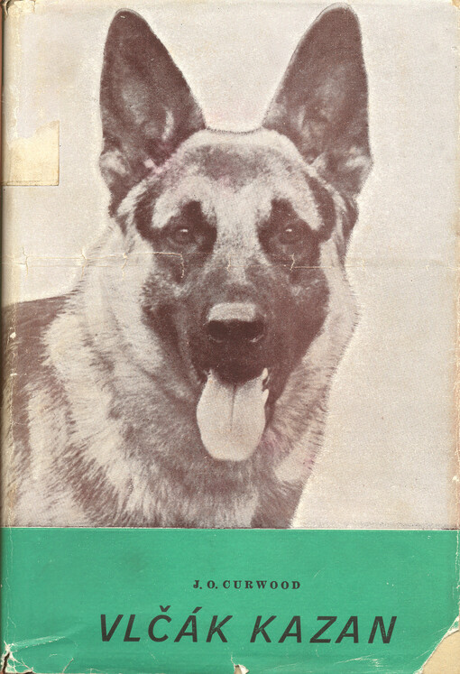Vlčák Kazan :Syn Kazanův