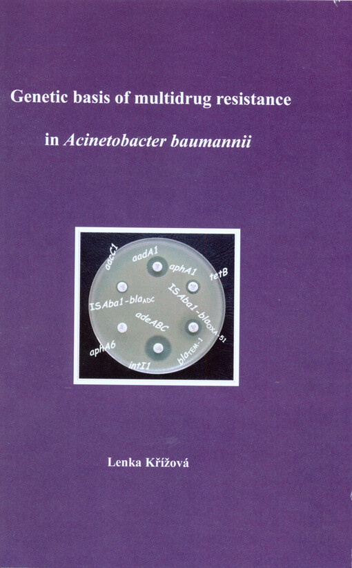 Genetic basis of multidrug resistence in Acinetobacter baumannii