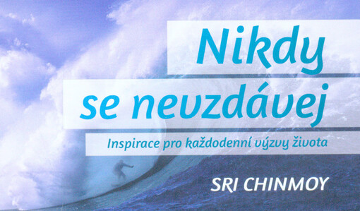 Nikdy se nevzdávej :inspirace pro každodenní výzvy života