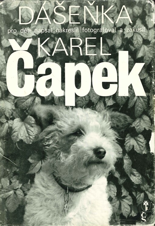 Dášeňka, čili, Život štěněte