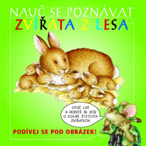 Nauč se poznávat zvířata z lesa