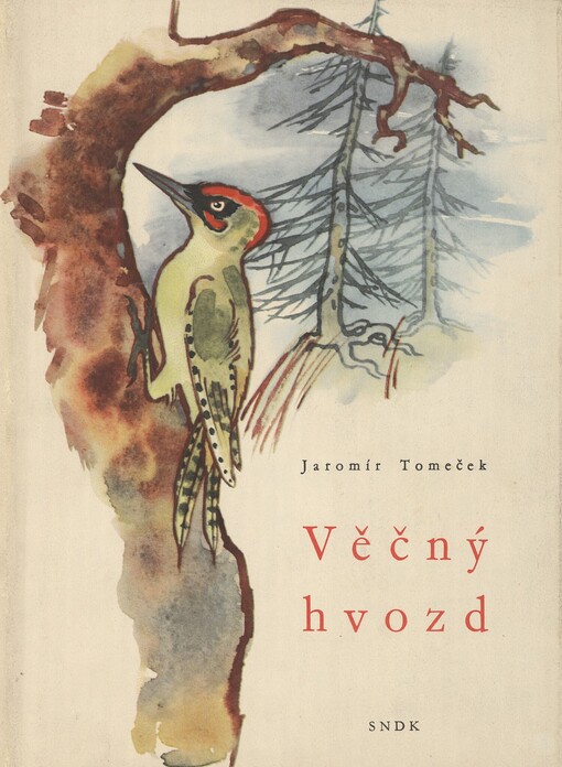 Věčný hvozd :Obrazy z hor