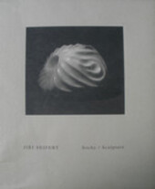 Jiří Seifert : sochy = Jiří Seifert : sculpture : České muzeum výtvarných umění, Dům u Černé Matky Boží 8.3.2001-13.5.2001