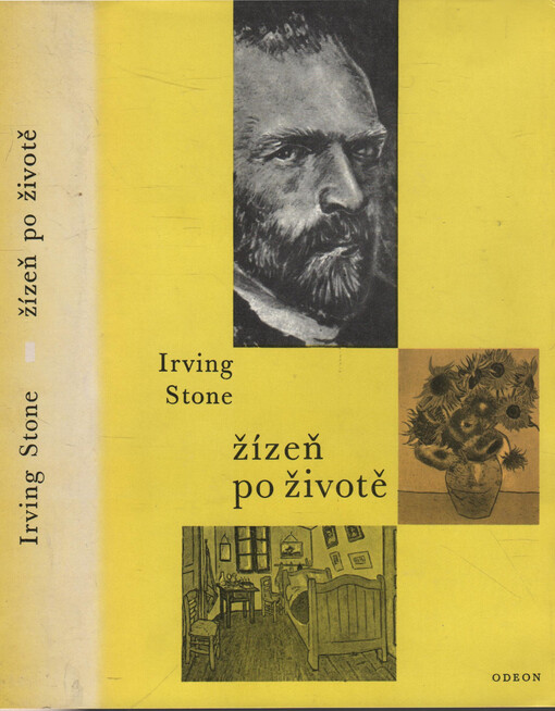 Žízeň po životě :román o Vincentu van Goghovi
