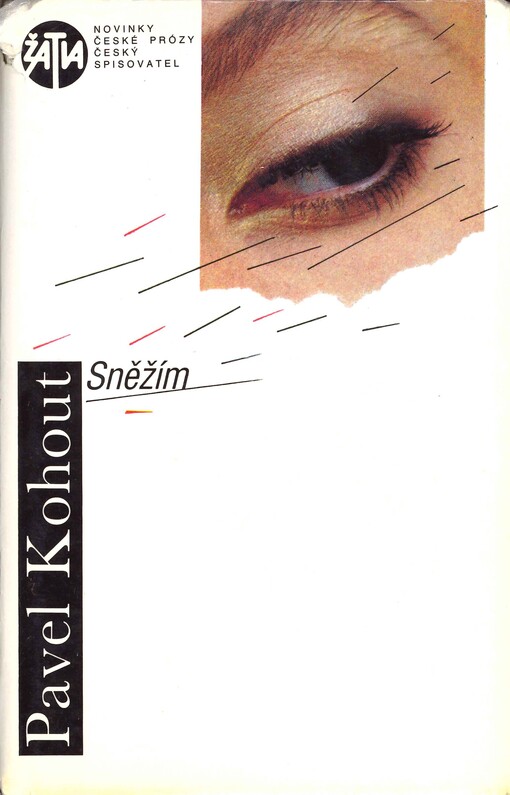 Sněžím: (zpověď Středoevropanky) : román