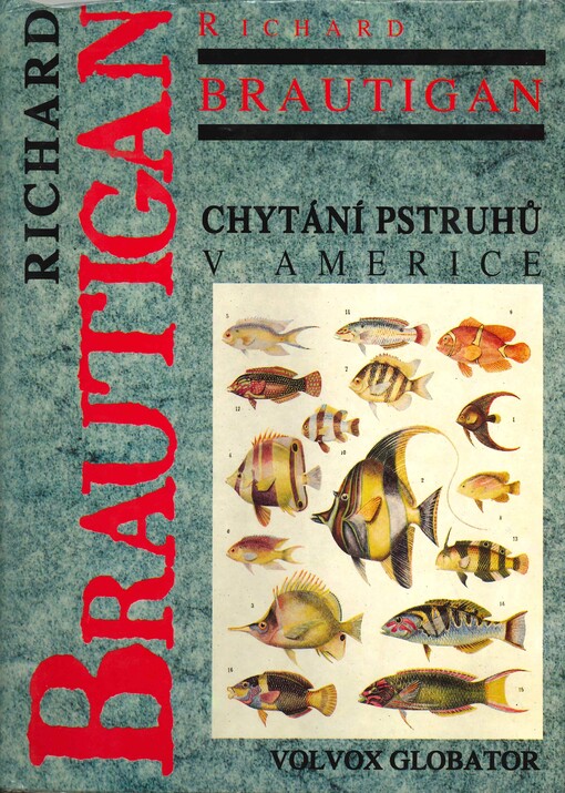 Chytání pstruhů v Americe