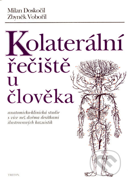 Kolaterální řečiště u člověka