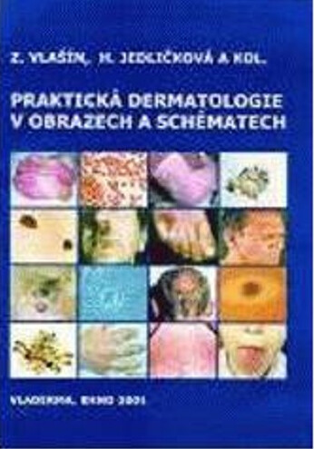 Praktická dermatologie v obrazech a schématech
