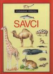 Savci