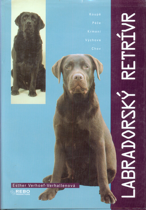 Labradorský retrívr